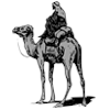 Silk Road Market