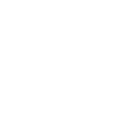 Security